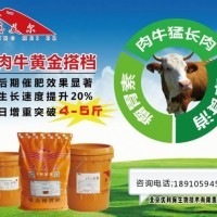 育肥牛饲料选择指南 如何在阶段与原料间精准配比