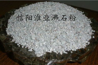 家禽养殖饲料沸石粉行业全景解析 价格趋势、优选厂家与应用要点