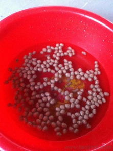 专业水产膨化饲料颗粒机 技术领先，养殖增效的得力助手